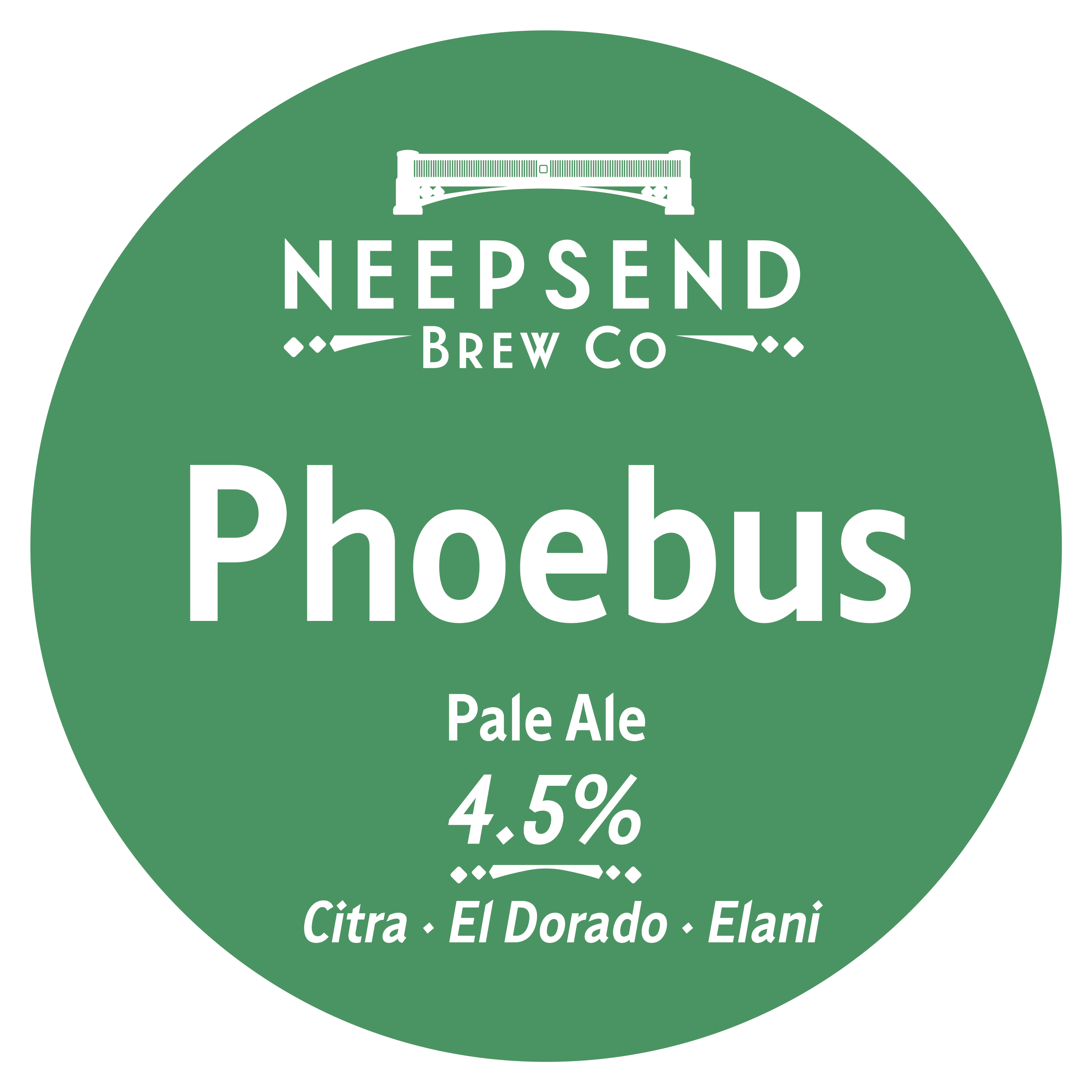 Phoebus pump clip