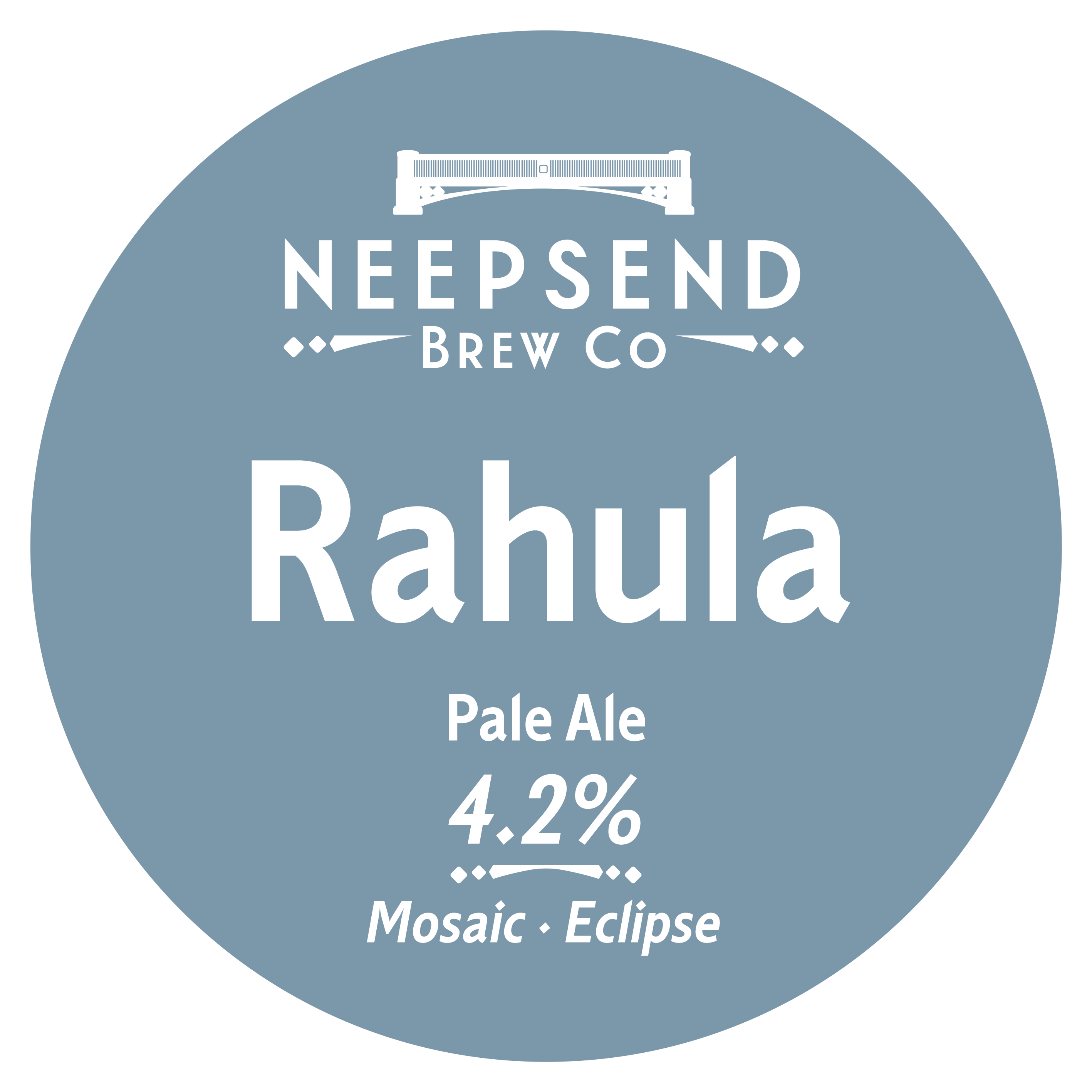 Rahula pump clip